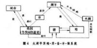 什么是低碳经济